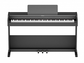 PIANO ROLAND DIGITAL RP107-BKX