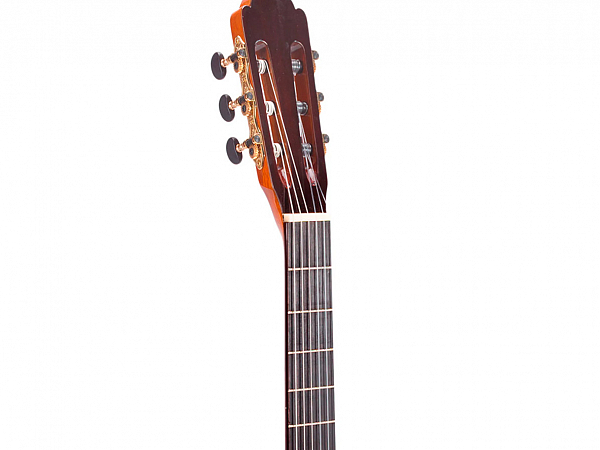 VIOLAO PHX CAMERATA CONCERTISTA II NYLON SPRUCE ABAULADO LCS-100 NA S/C  NATURAL