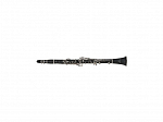 CLARINETE MICHAEL WCLM35