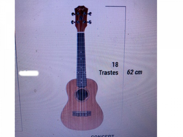 UKULELE SEIZI BALI CONCERT ACUSTICO SAPELE
