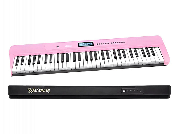 TECLADO WALDMAN CLASSTONE WTS-300 PK