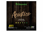 ENC GIANNINI VIOLAO AÇO 011 GESPW ACUSTICO