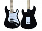 GUITARRA SHELTER STRATO ASH PRO TRANSPARENT BLACK