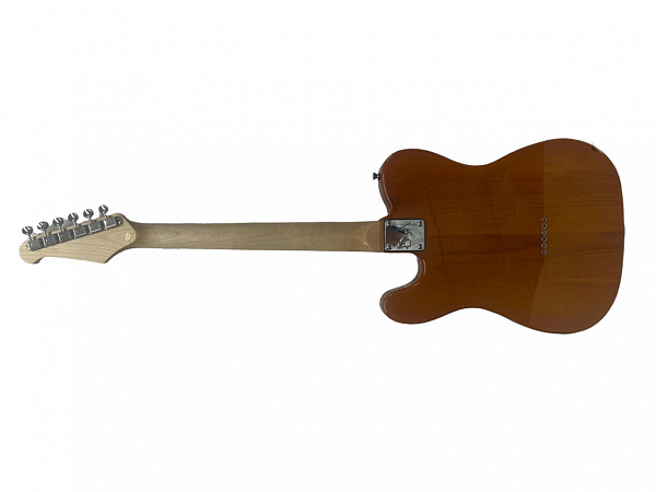 GUITARRA EWA STANDARD LINE AYLABTB TELECASTER